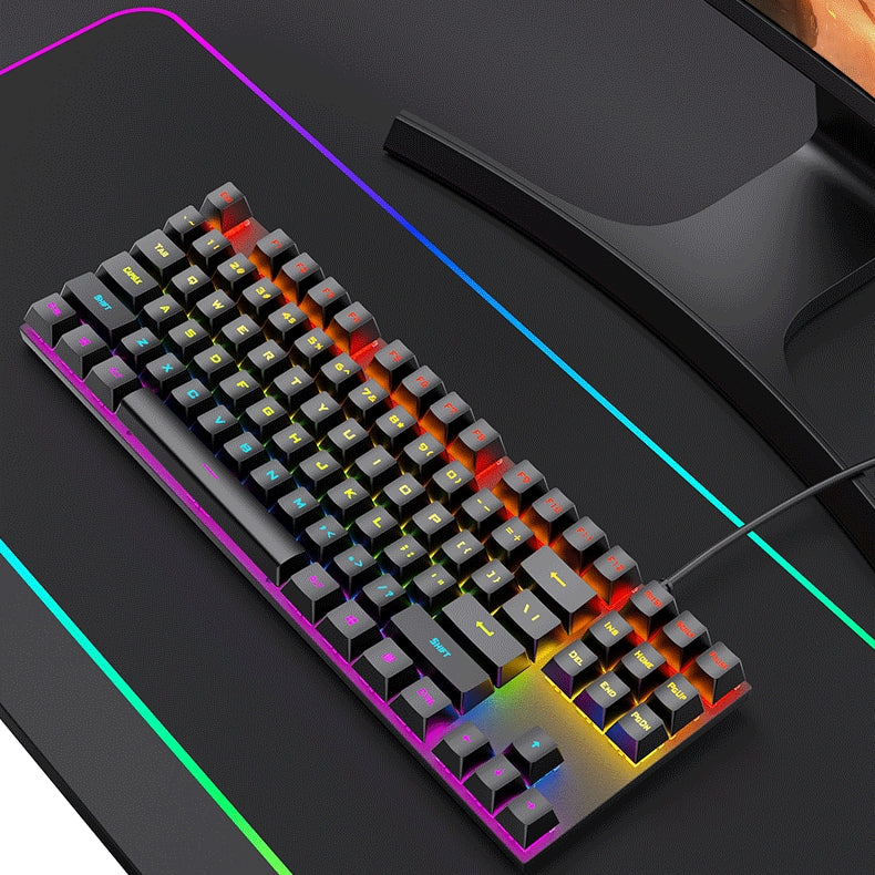 Anti-ghosting Spill Resistant Compact 87 Keys Wired Gaming Keyboard with RGB Backlit for Windows / Mac