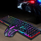 Gaming Set - 104 Keys Wired Keyboard with Rainbow Backlit + 1600 DPI Gaming Mouse Combo