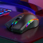 2.4GHz Wireless Optical Gaming Mouse with Chroma RGB Backlight for Windows / Mac