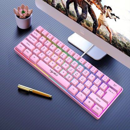 Anti-ghosting Ultra Compact 61 Keys Wired Membrane Keyboard with RGB Backlit for Windows/Mac