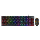 Gaming Set - 104 Keys Wired Keyboard with Rainbow Backlit + 1600 DPI Gaming Mouse Combo