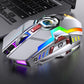 2.4GHz Wireless Optical Gaming Mouse with RGB Backlight & Mute Buttons for Windows/Mac